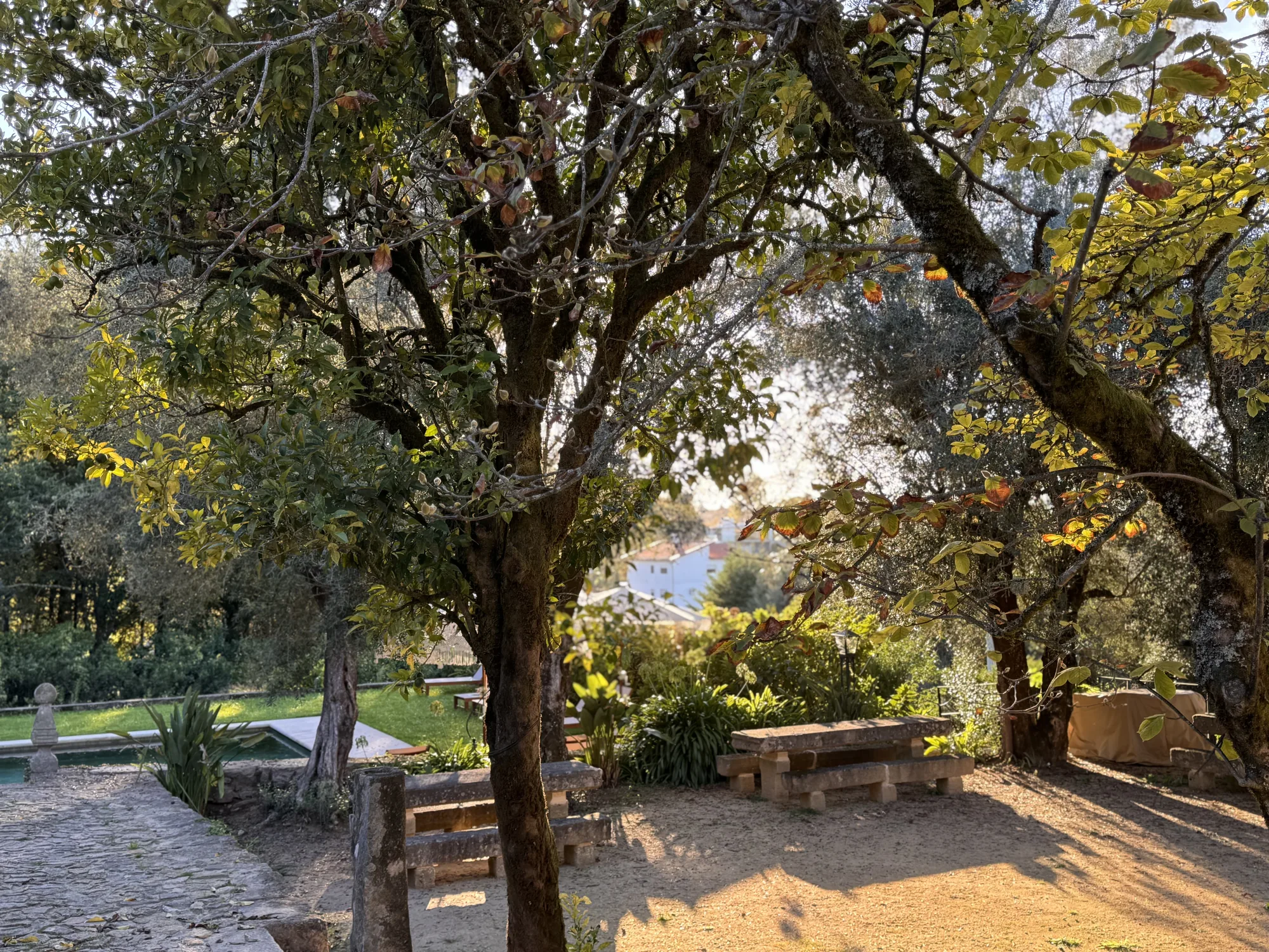 Piscina da quinta